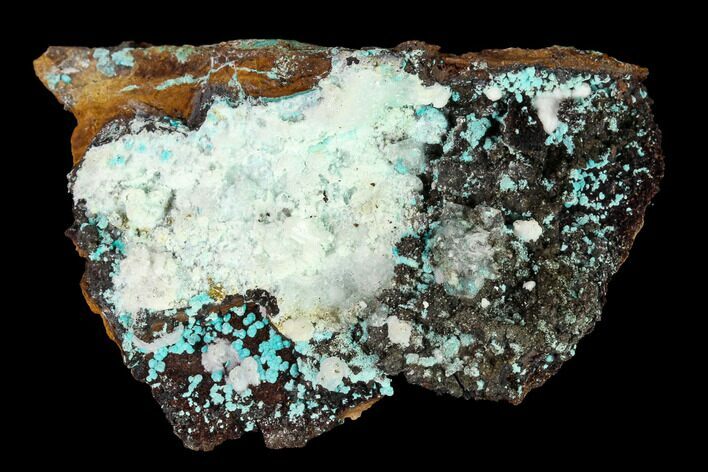 Aurichalcite and Calcite Association - Hidden Treasure Mine #146216